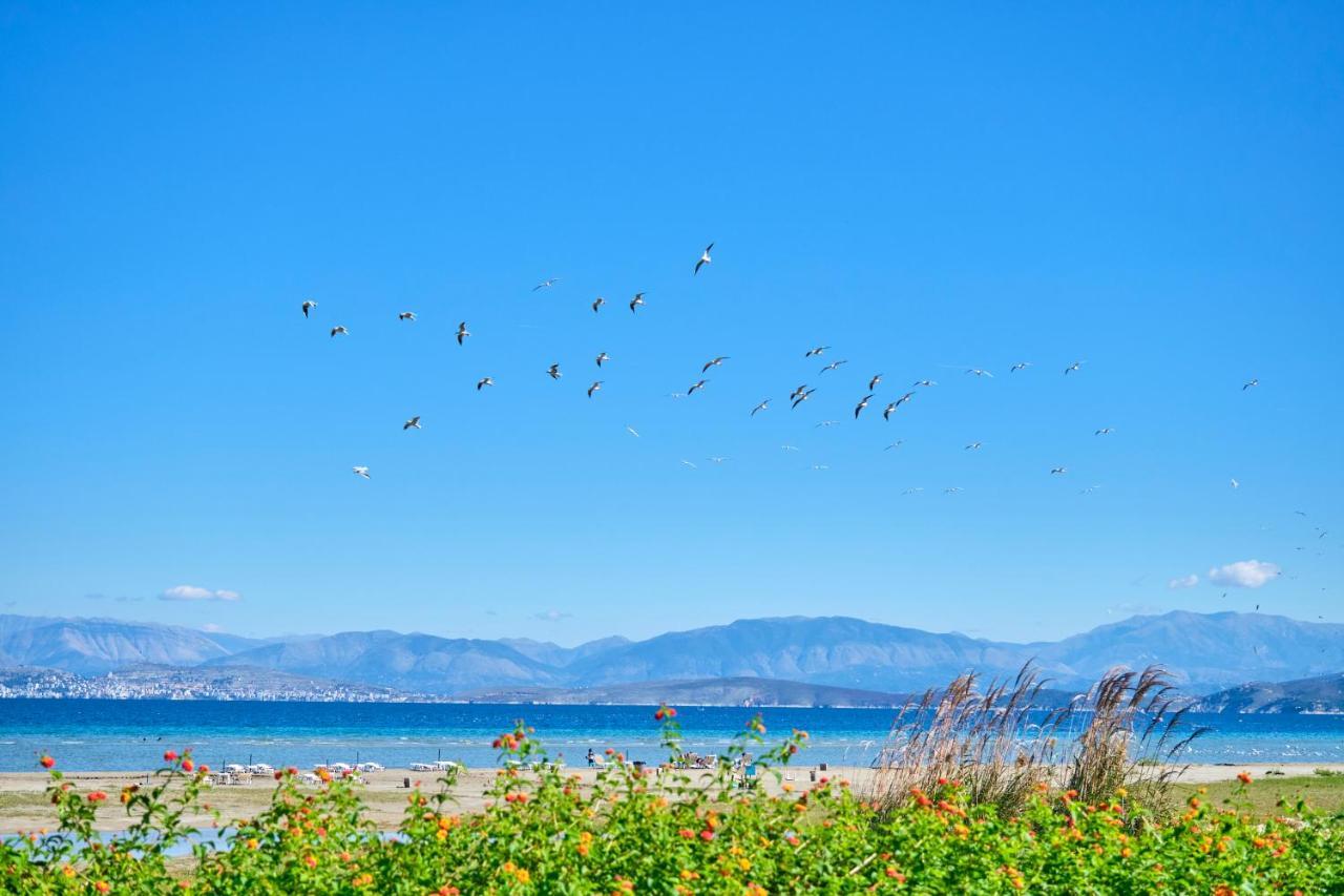 Nikos Kalamaki Corfu Apraos エクステリア 写真